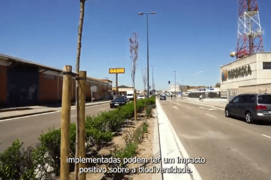 Una mirada de conjunto a la aplicación de SBN en áreas Industriales: INDNATUR vídeo a vídeo